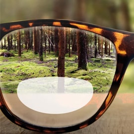 Bifocal Lenses Sunglasses In Vaughan