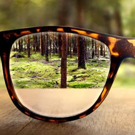 Single Vision Lenses Sunglasses & Sunglasses In Vaughan
